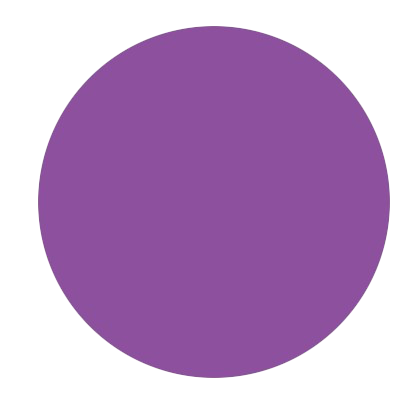 Purple Circle Records